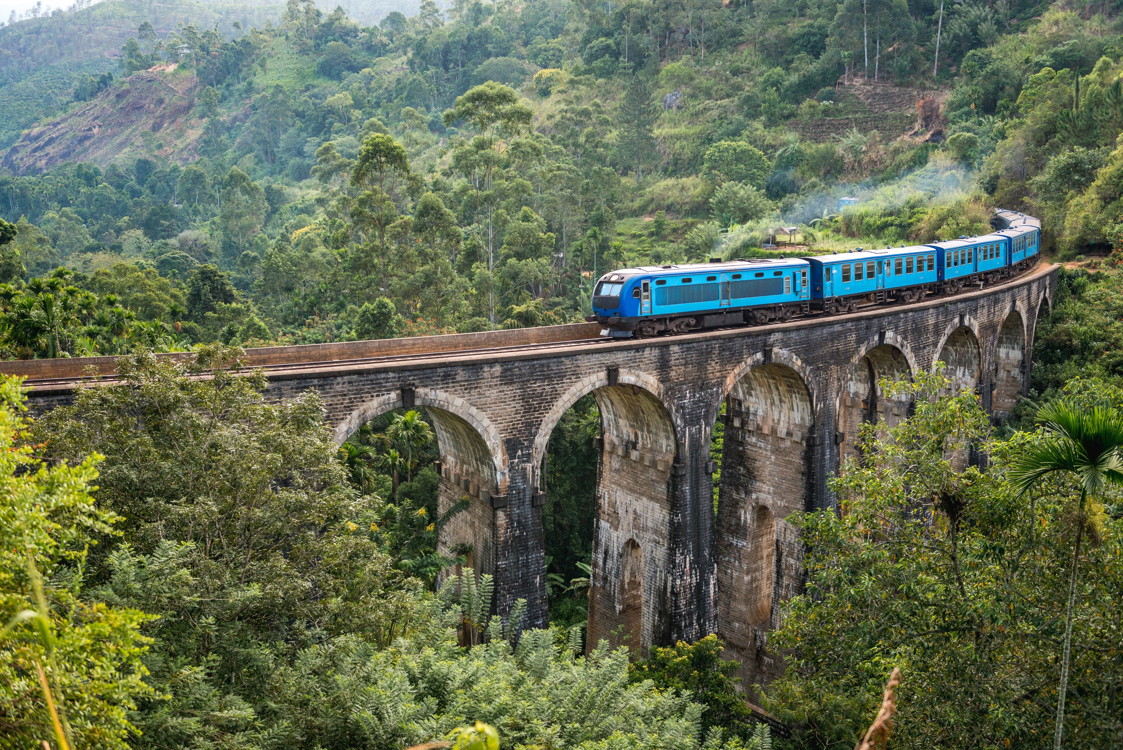 Blue train travelling through the lush green tea country near Ella, Sri Lanka