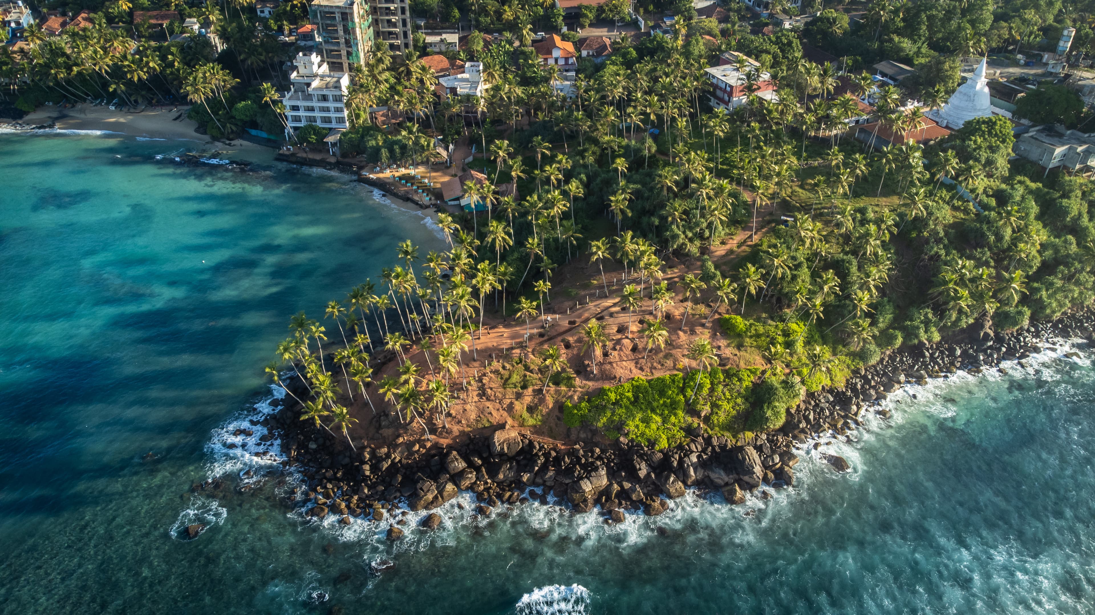 Golden tropical beach and palm-fringed coastline in Mirissa, Sri Lanka